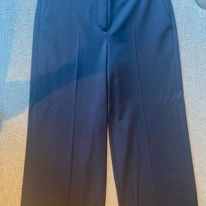 Theory blue slacks new without tags